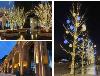 �ƹ���������������װ��ľ����ũ���ֵƹ�